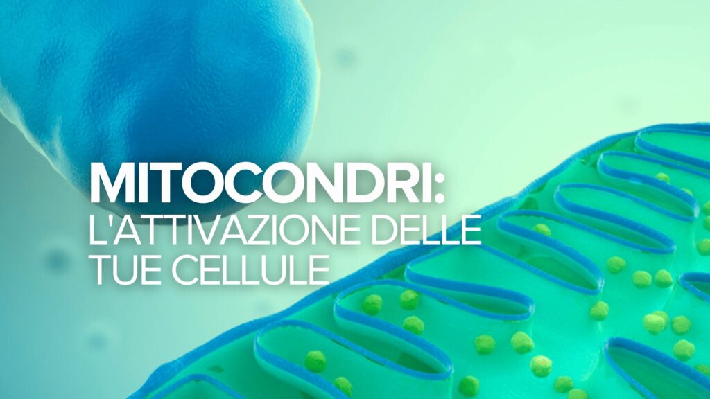 Mitocondri: L’attivazione delle tue cellule