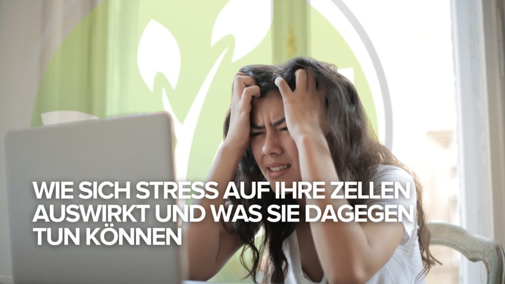 Wie sich Stress auf Ihre Zellen auswirkt und was Sie dagegen tun können Wie sich Stress auf Ihre Zellen auswirkt und was Sie dagegen tun können