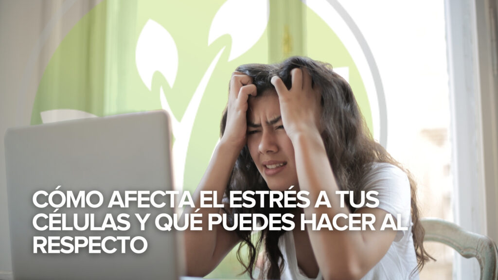 Cómo afecta el estrés a tus células y qué puedes hacer al respecto Cómo afecta el estrés a tus células y qué puedes hacer al respecto