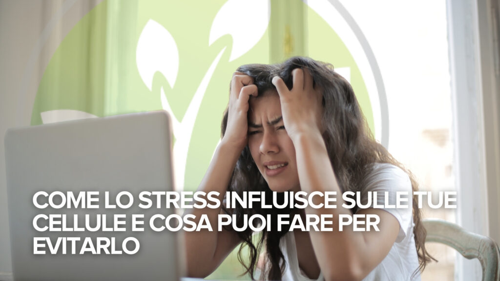 Come lo stress influisce sulle tue cellule e cosa puoi fare per evitarlo Come lo stress influisce sulle tue cellule e cosa puoi fare per evitarlo
