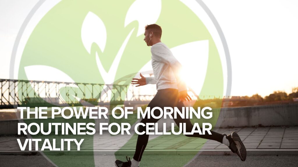 The Power of Morning Routines for Cellular Vitality The Power of Morning Routines for Cellular Vitality