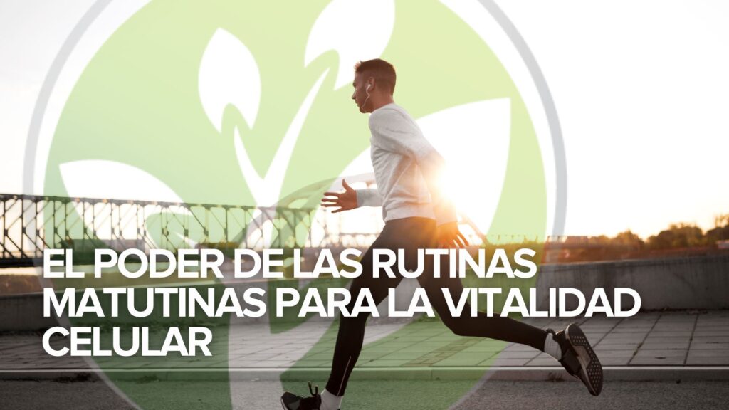 El poder de las rutinas matutinas para la vitalidad celular El poder de las rutinas matutinas para la vitalidad celular