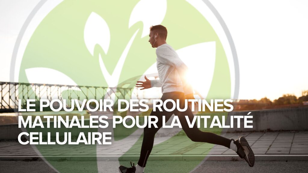 Le pouvoir des routines matinales pour la vitalité cellulaire Le pouvoir des routines matinales pour la vitalité cellulaire