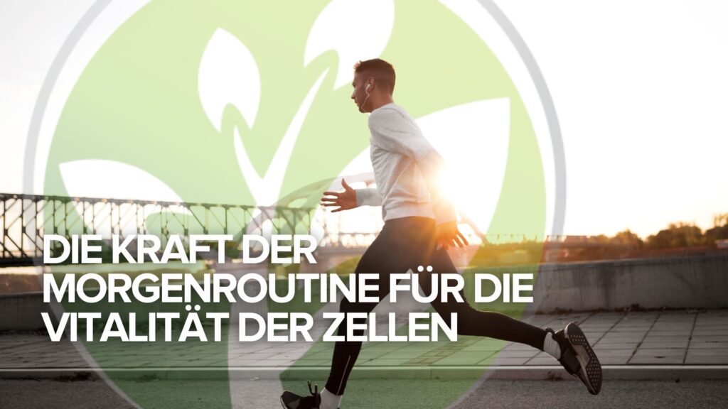 Die Kraft der Morgenroutine für die Vitalität der Zellen Die Kraft der Morgenroutine für die Vitalität der Zellen