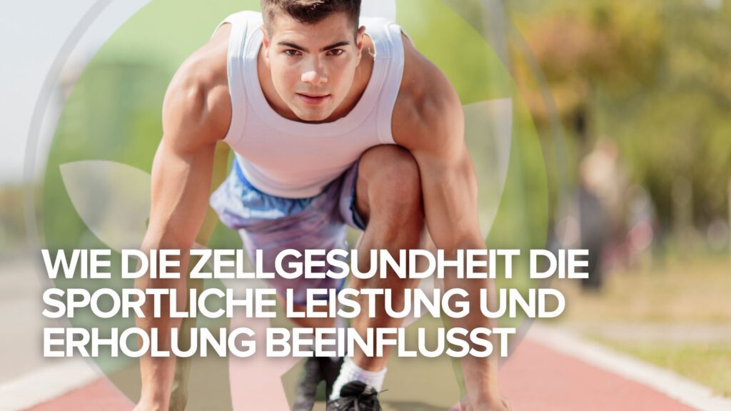 Wie die Zellgesundheit die sportliche Leistung und Erholung beeinflusst Wie die Zellgesundheit die sportliche Leistung und Erholung beeinflusst