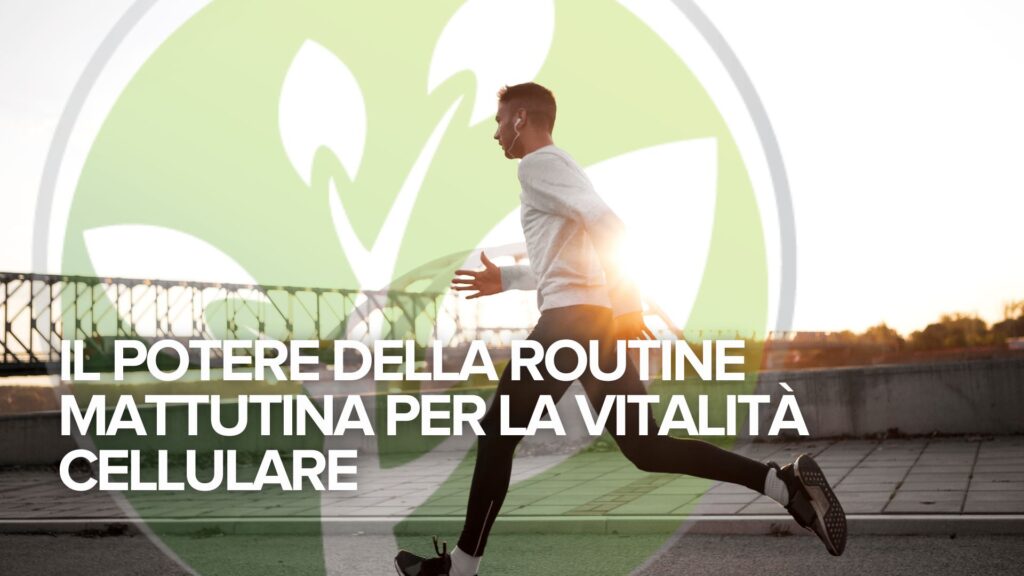 Il potere della routine mattutina per la vitalità cellulare