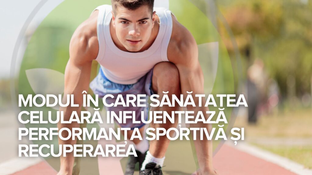 Modul în care sănătatea celulară influențează performanța sportivă și recuperarea