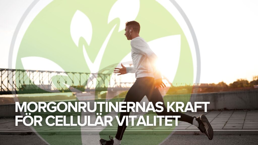 Morgonrutinernas kraft för cellulär vitalitet