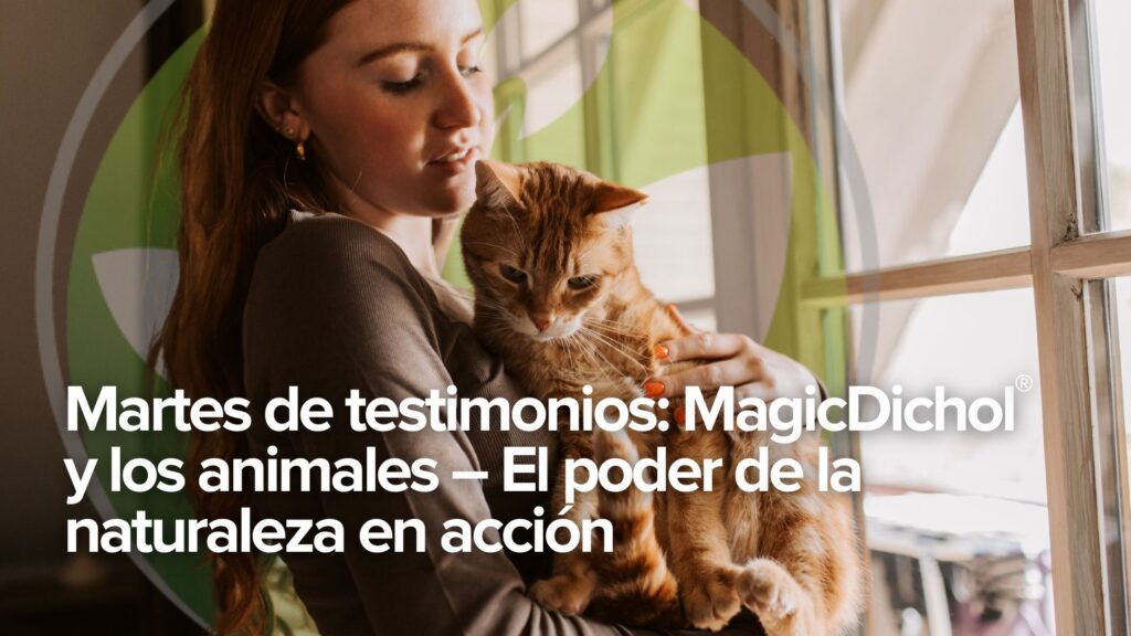Martes de testimonios: MagicDichol® y los animales – El poder de la naturaleza en acción