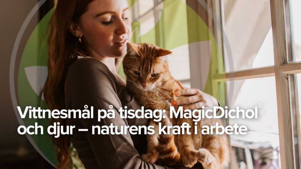 Vittnesmål på tisdag: MagicDichol® och djur – naturens kraft i arbete