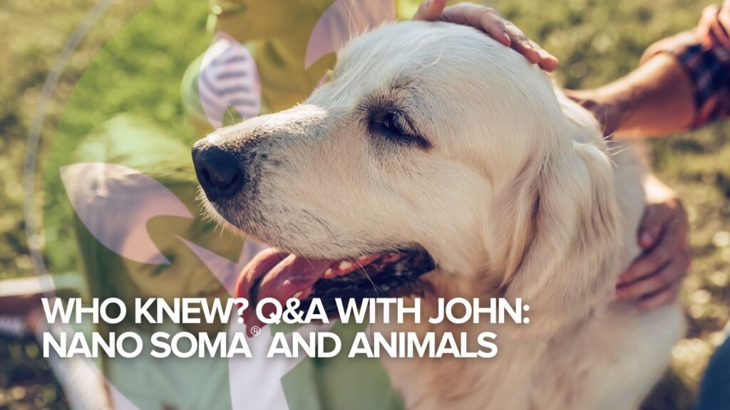 Who Knew? Q&A with John:NANO SOMA® and Animals