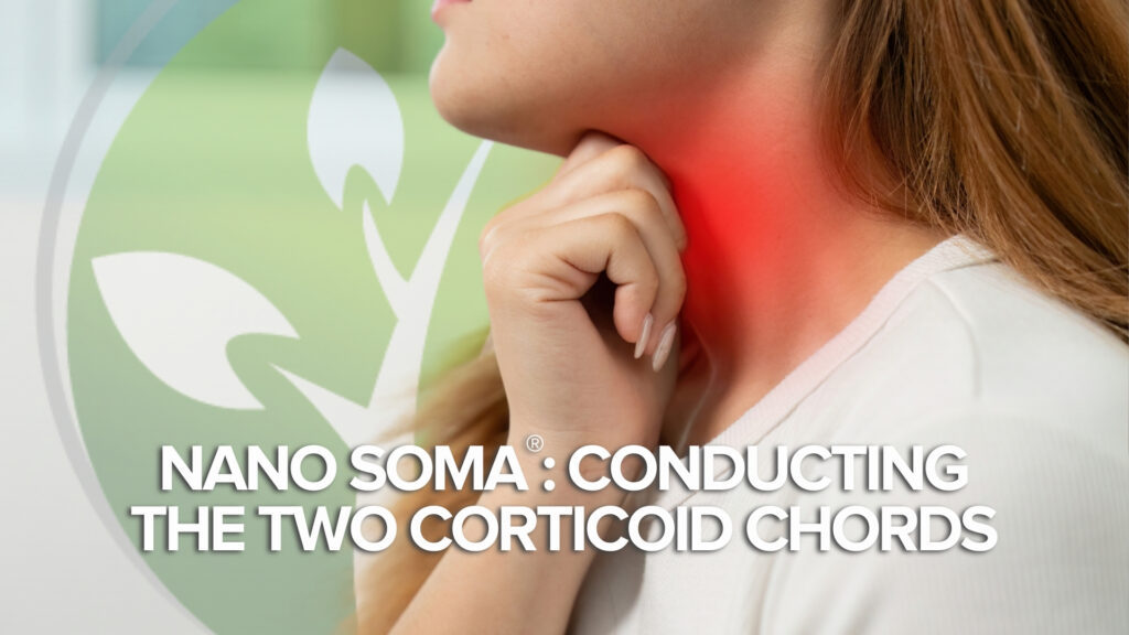 NANO SOMA®: Das Dirigieren der beiden Kortikoidakkorde NANO SOMA®: Das Dirigieren der beiden Kortikoidakkorde