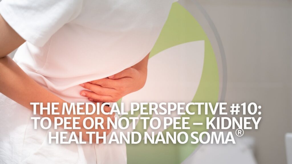 Die medizinische Perspektive #10: Pinkeln oder nicht pinkeln – Nierengesundheit und NANO SOMA® Die medizinische Perspektive #10: Pinkeln oder nicht pinkeln – Nierengesundheit und NANO SOMA®
