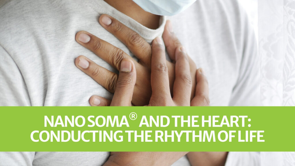 NANO SOMA® und das Herz: Den Rhythmus des Lebens dirigieren NANO SOMA® und das Herz: Den Rhythmus des Lebens dirigieren
